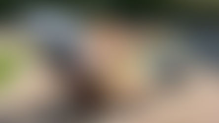 Sitzskulpturen Hospiz Ipek | Robert Kaller