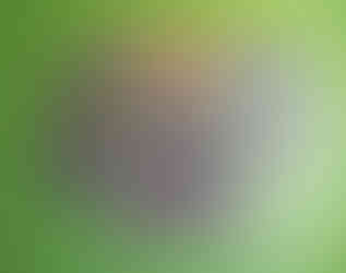 Identität schaffen | Robert Kaller