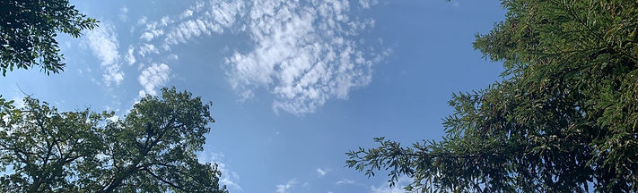 29339_edited.jpg