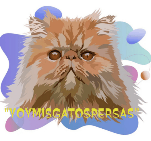 20220725_003537.gif