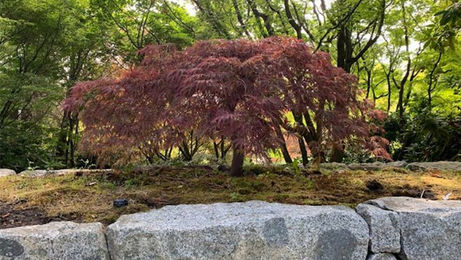 Canada’s Internment Era: A Field School