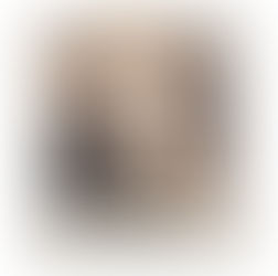 Lennyy the dog