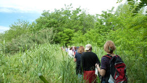 Nordic walking lungo le sponde dell'Uso