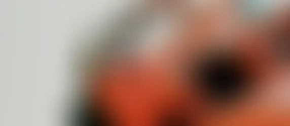 Fotografie a altri tesori a La Casa del Tempo il 4 maggio