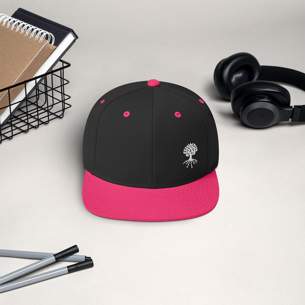 Thumbnail: Snapback Hat