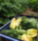 Manakintowne & Virginia Growers Farm Share
