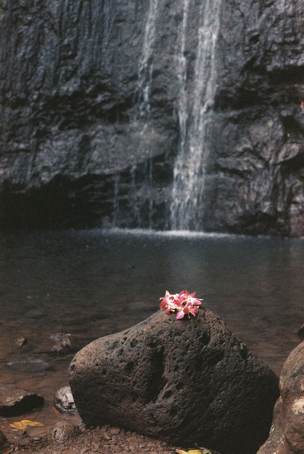 35mm family portrait session in Hawaiʻi, image 7 of 12