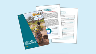 Research on Human Rights Violation Linked to Environmental Harms in Mining Companies in the Democratic Republic of the Congo