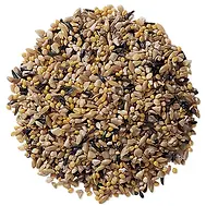 wild bird seed.webp