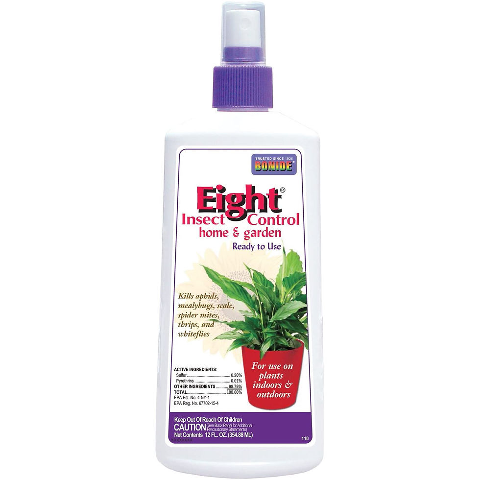 Bonide Eight Insect Control 110 Ready-to-Use Insect Spray, 12 oz