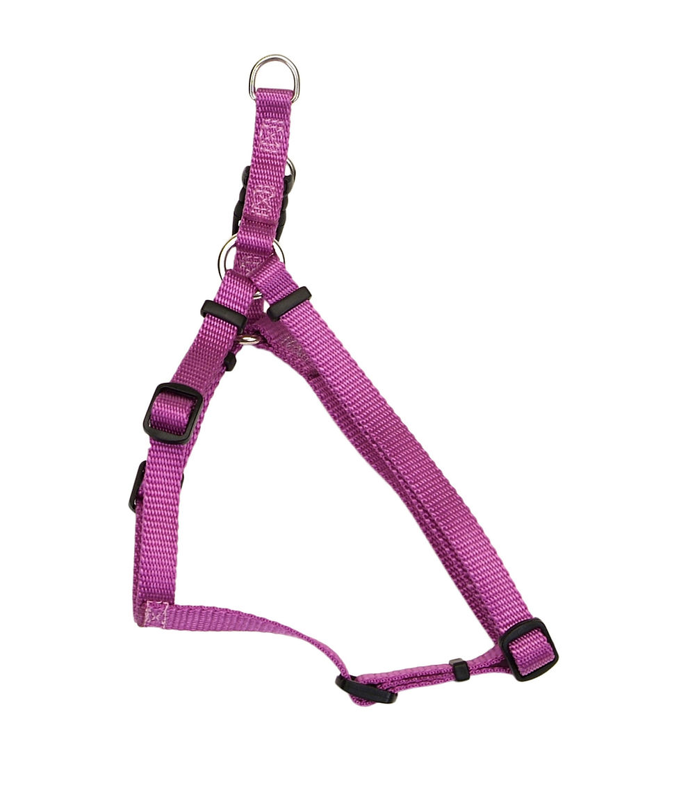 Thumbnail: Coastal Pet Comfort Wrap Harness