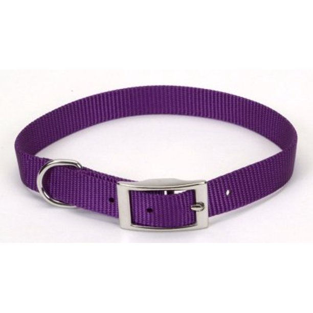 Coastal Pet Single-Ply Adjust Nylon Collar