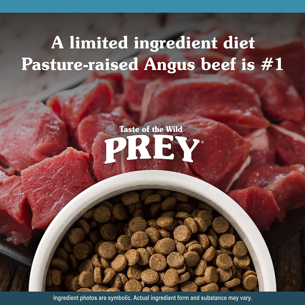 Thumbnail: Taste of the Wild Prey Beef Recipe