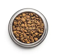 dry cat food.webp