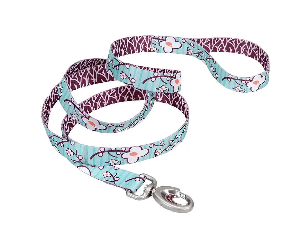 Thumbnail: Coastal Pet Sublime 2-Sided Dog Leash, 6'