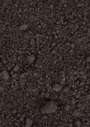 box garden.webp