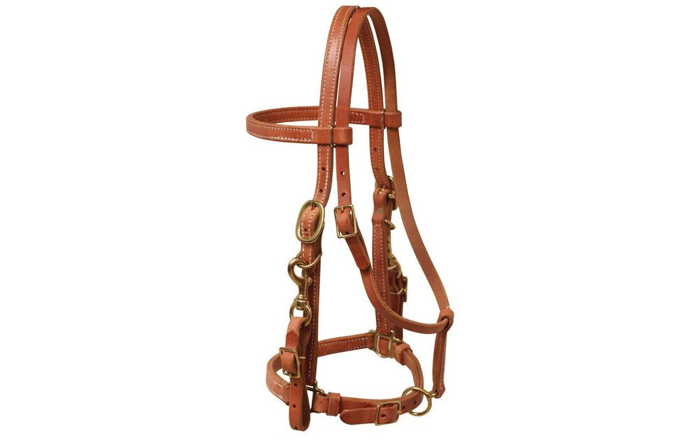 Berlin Custom Leather Halter/Bridle Combo H375