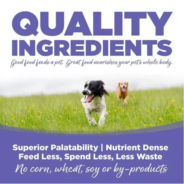 Thumbnail: NutriSource Small & Medium Breed Puppy Recipe