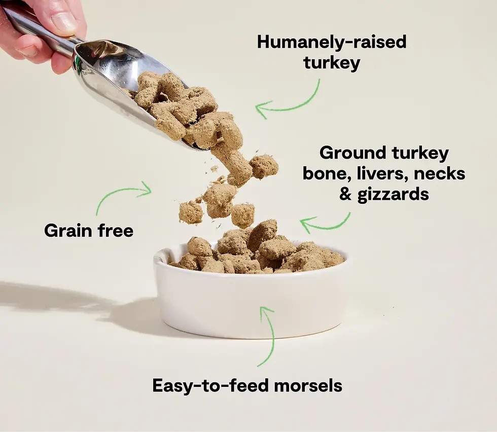 Thumbnail: Open Farm Freeze-Dried Raw Morsels Homestead Turkey Recipe