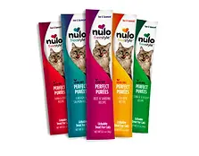 cat treat.webp