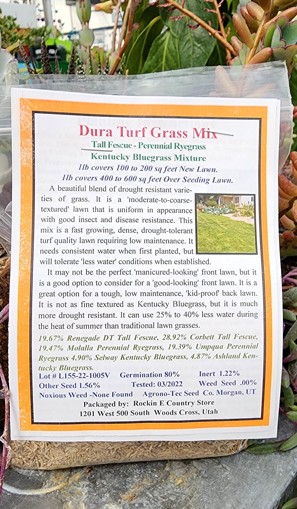 Dura Turf Grass Mix Packets