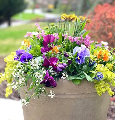 Take and Make Spring Porch Pot