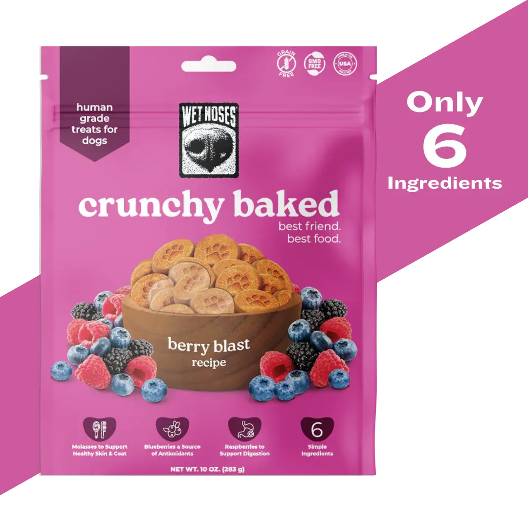 Wet Noses Crunchy Baked Berry Blast 10oz