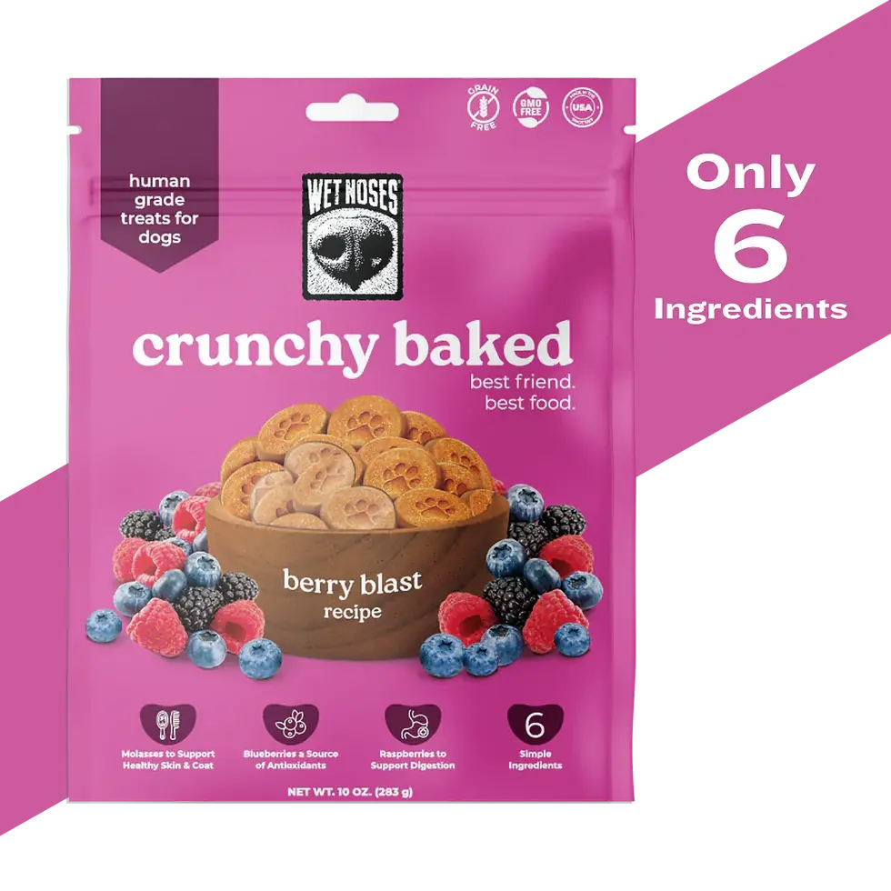 Wet Noses Crunchy Baked Berry Blast 10oz