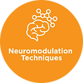 Neuromodulation Techniques.png