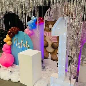 Winter Wonderland 1st Birthday Party