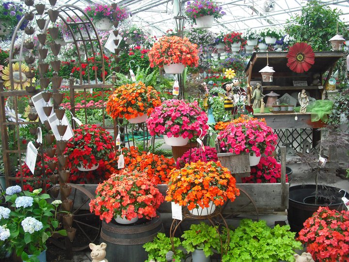 Boehler's Greenhouse Saginaw, MI Garden Center