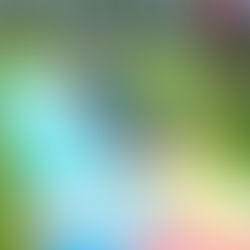 Digging In and Branching Out: OSHC's Big Year of Play and Discovery