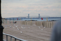 CONEY ISLAND723