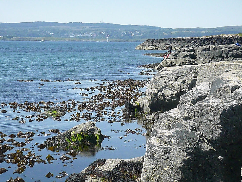 Rocky Shore
