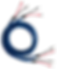 Cygnus Speaker for web.png