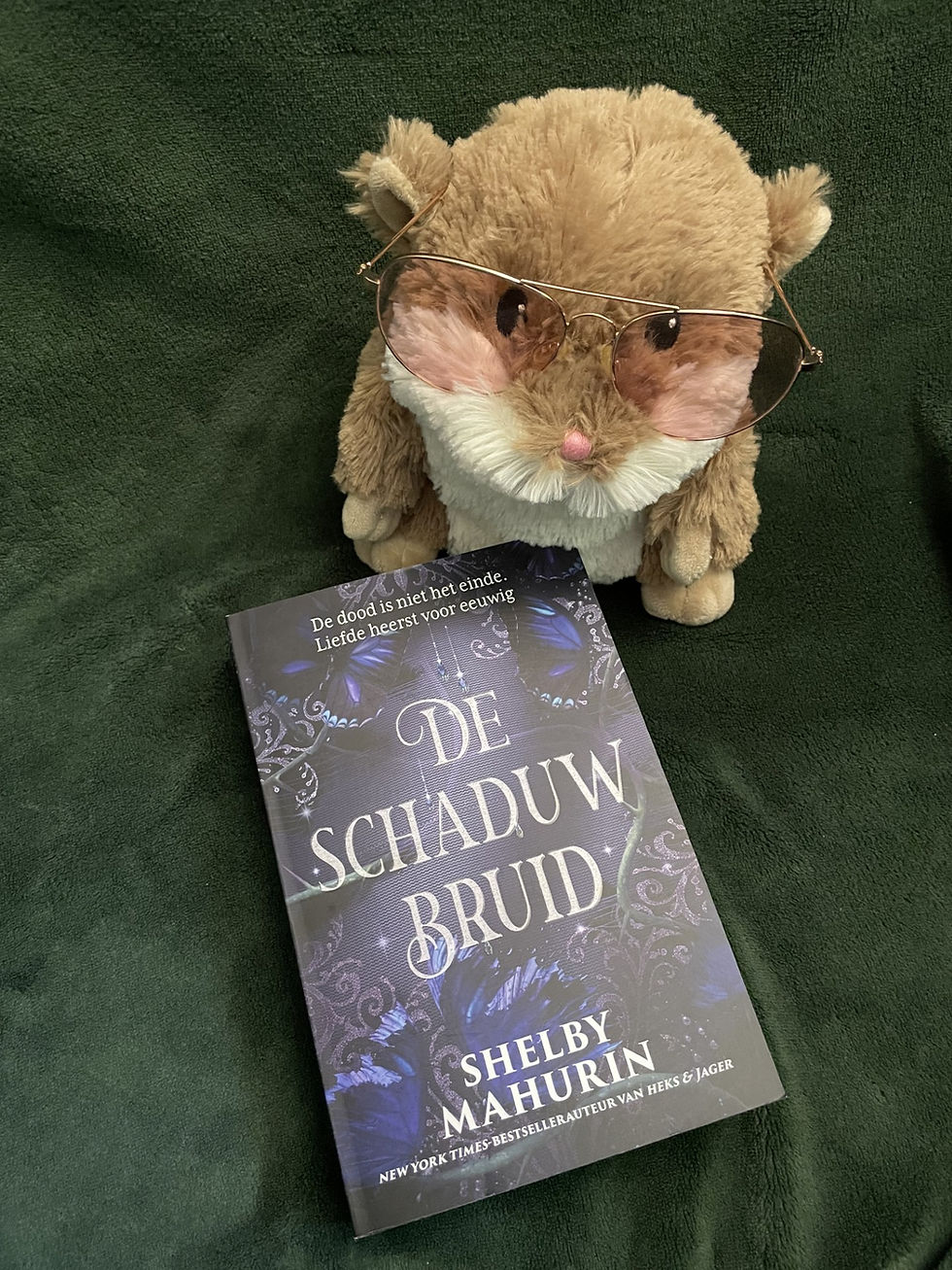 De schaduwbruid shelby mahurin