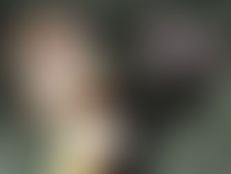 Film: How to train your dragon