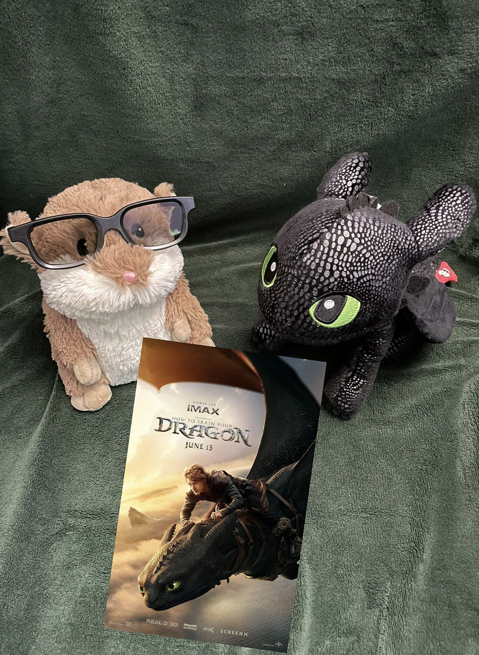 how to train your dragon