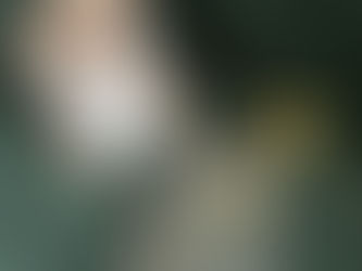 Recensie Hoe de koning van Elfhame verhalen leerde haten