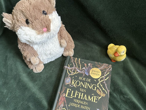 Recensie Hoe de koning van Elfhame verhalen leerde haten