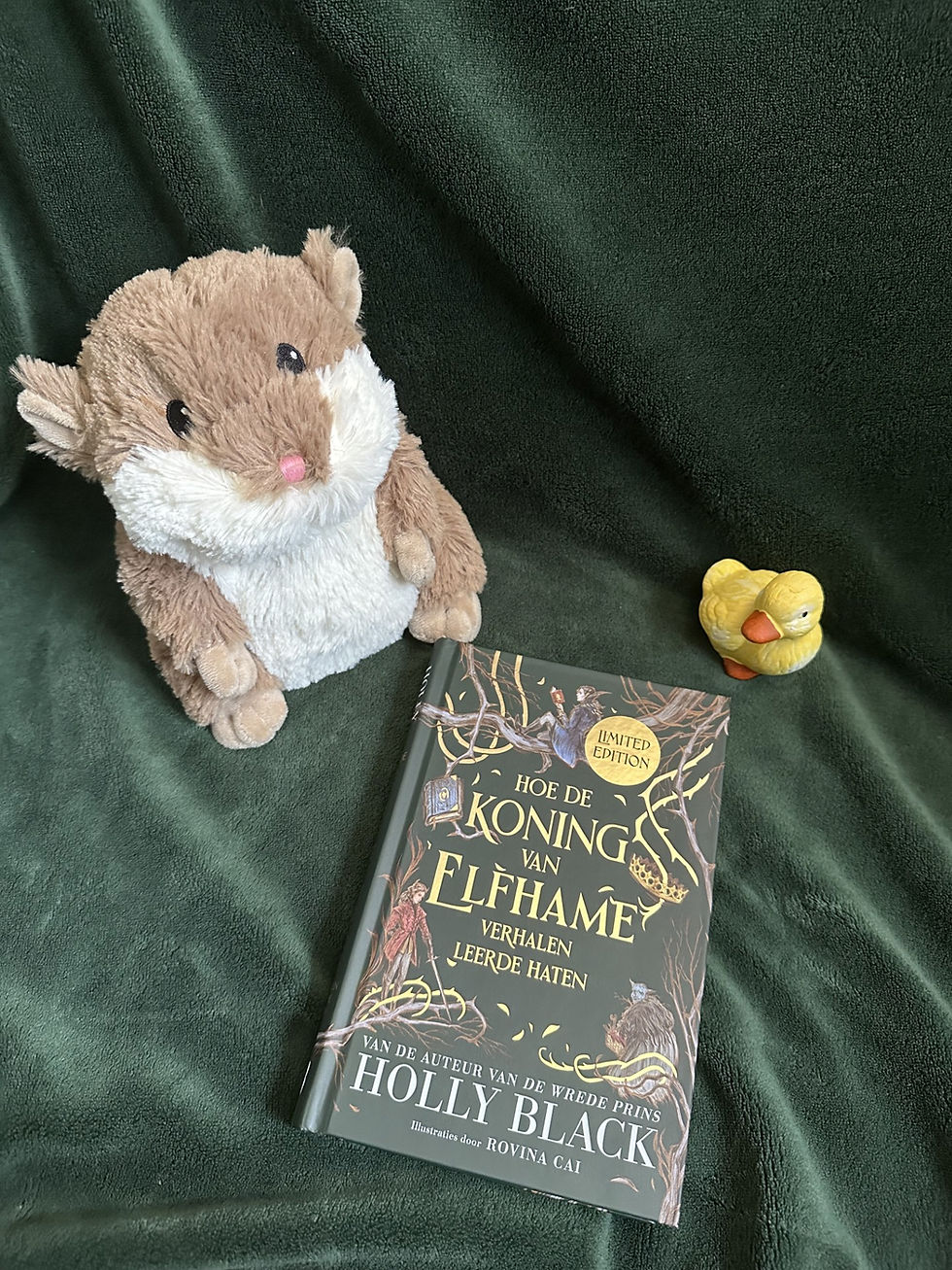 Recensie Hoe de koning van Elfhame verhalen leerde haten