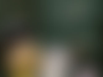 Film: Twilight marathon