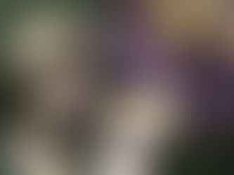 Film: Harry Potter marathon