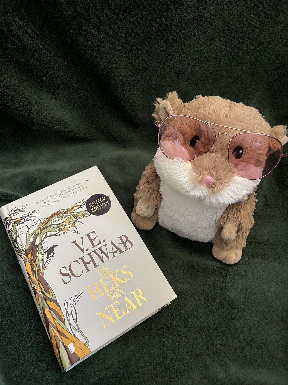 de heks van near v e schwab