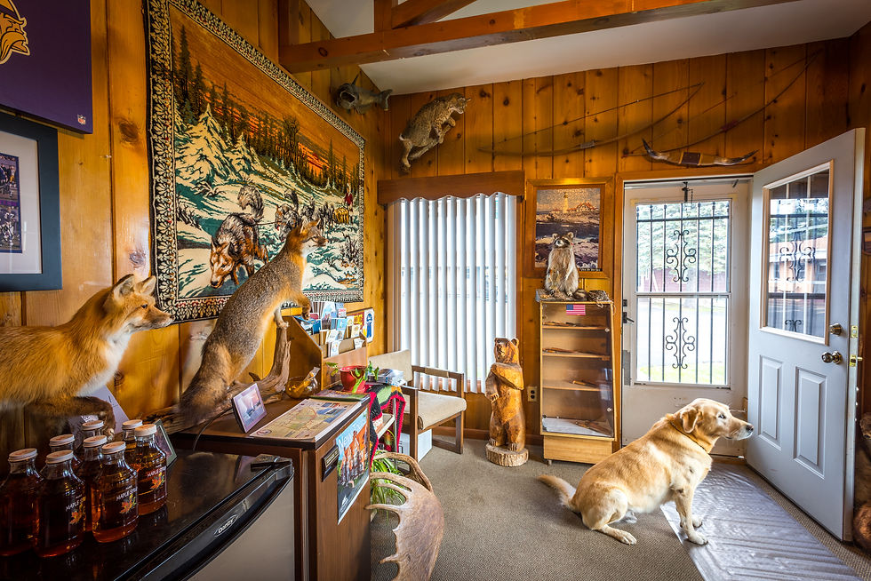 Viking Motel