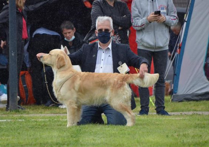 Rosko Lieu St Amand 2021.jpeg