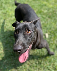 WhatsApp Image 2025-06-17 at 4.54_edited.jpg