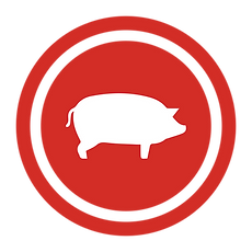 Mesa de trabajo 3.png