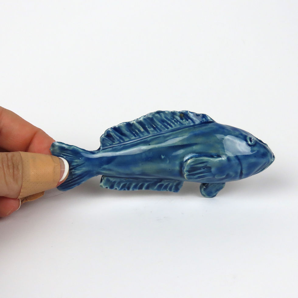 Thumbnail: Fish Magnets 