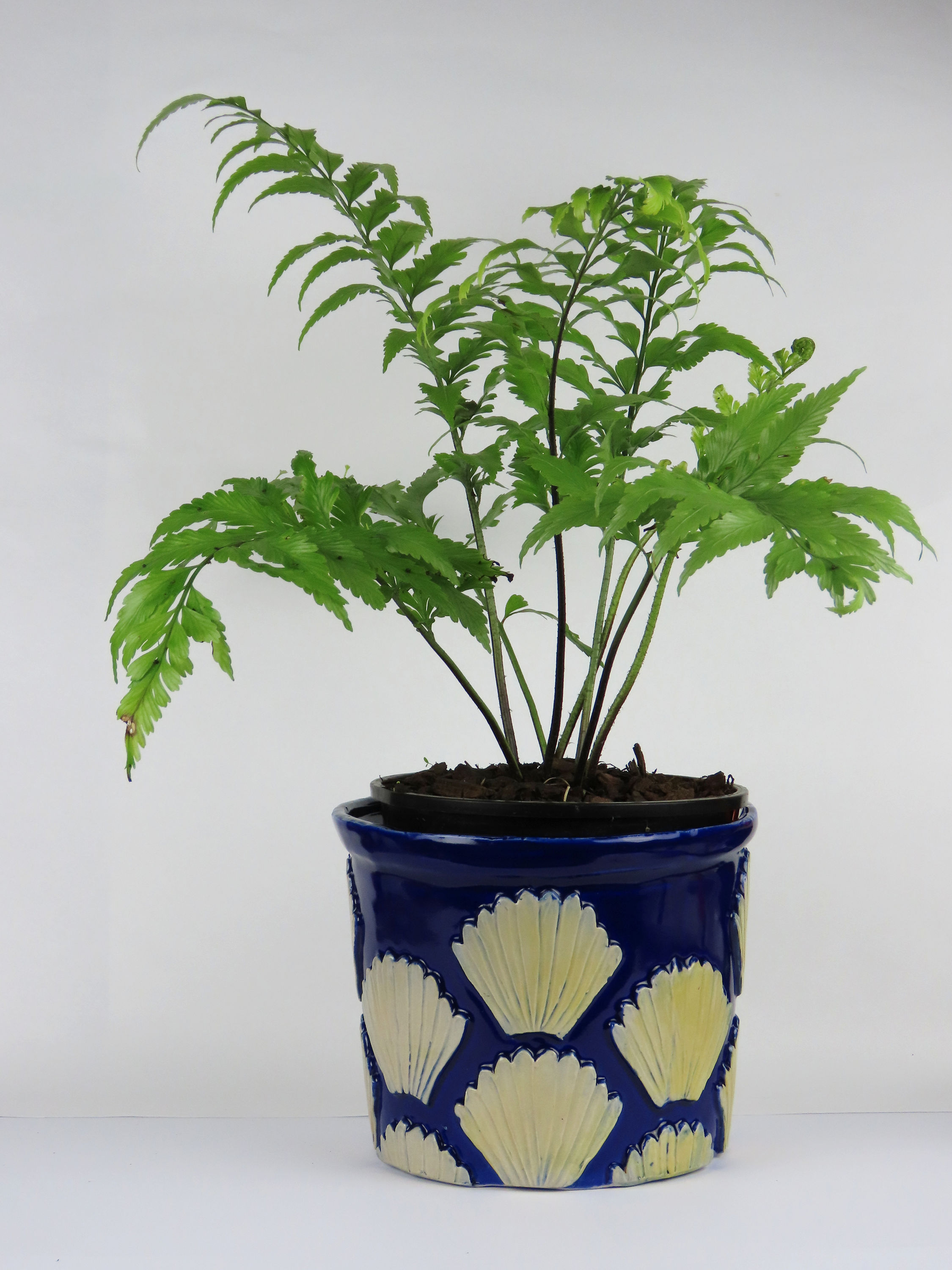Fantail Planter